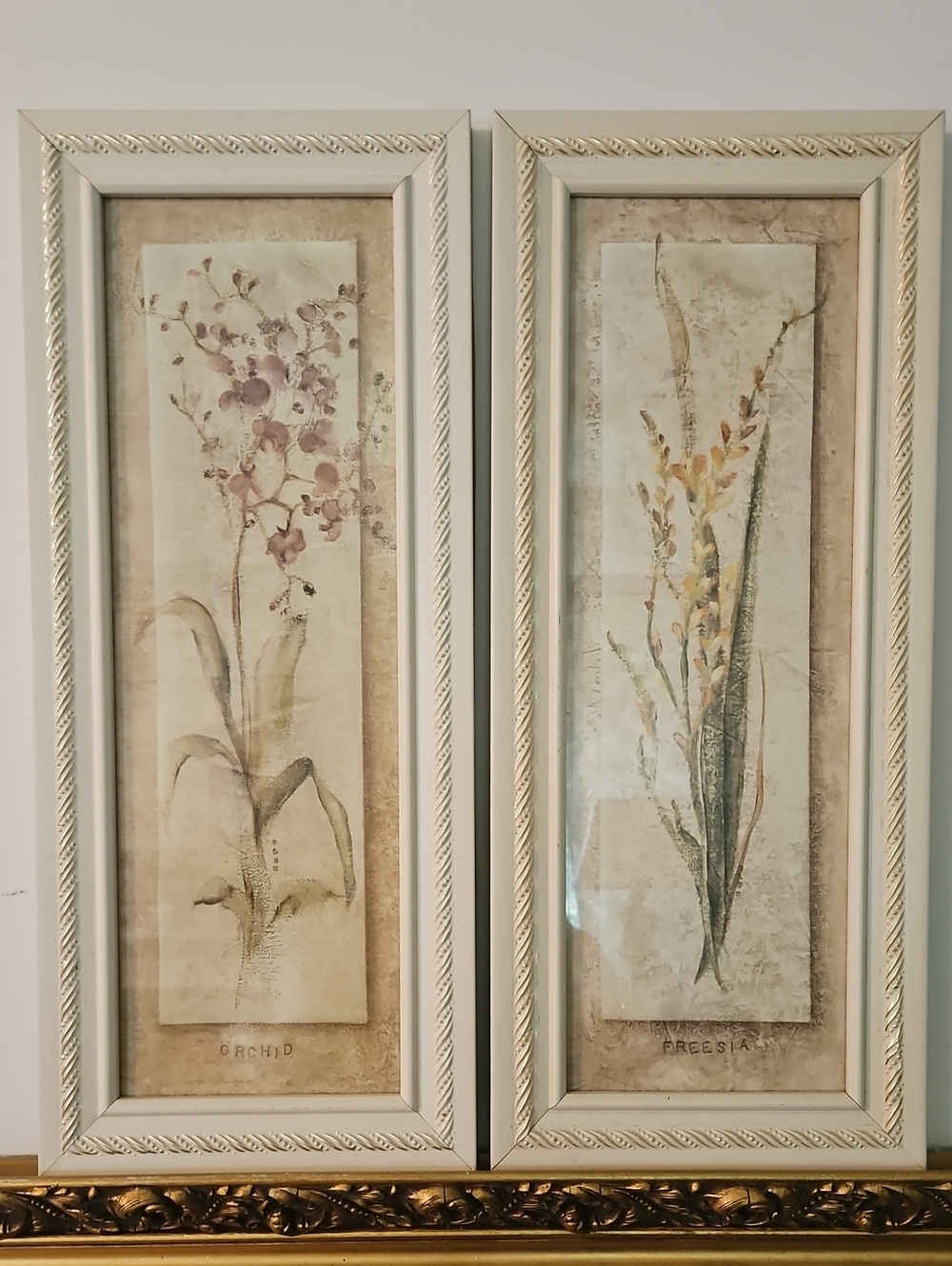 Pair of Framed Botanical Prints - Orchid & Freesia in Cream